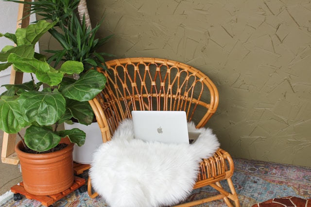 Cozy Airbnb cohost workspace with a laptop on a rattan chair and indoor plants.